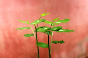 30代男性が婚活で断られる理由とは？