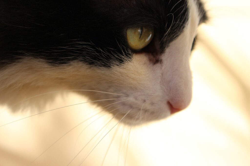 30代男性が婚活を諦めないためのコツは？