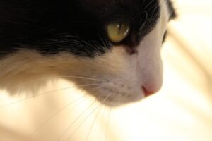 30代男性が婚活を諦めないためのコツは？