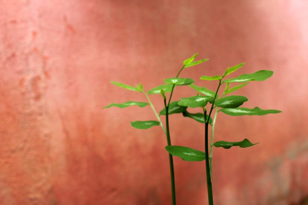 30代男性の婚活に必要なメンタルケアとは？