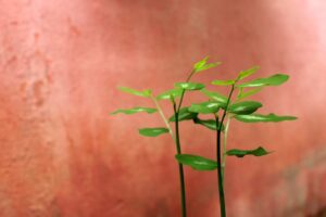 30代男性の婚活に必要なメンタルケアとは？