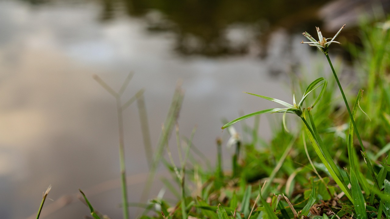 30代男性の婚活に役立つ自己PRのポイントは？