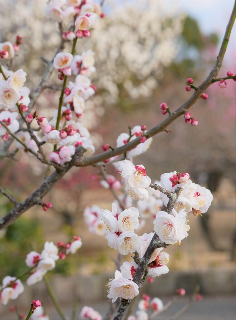 with 口コミ評判で知るおすすめ商品は？