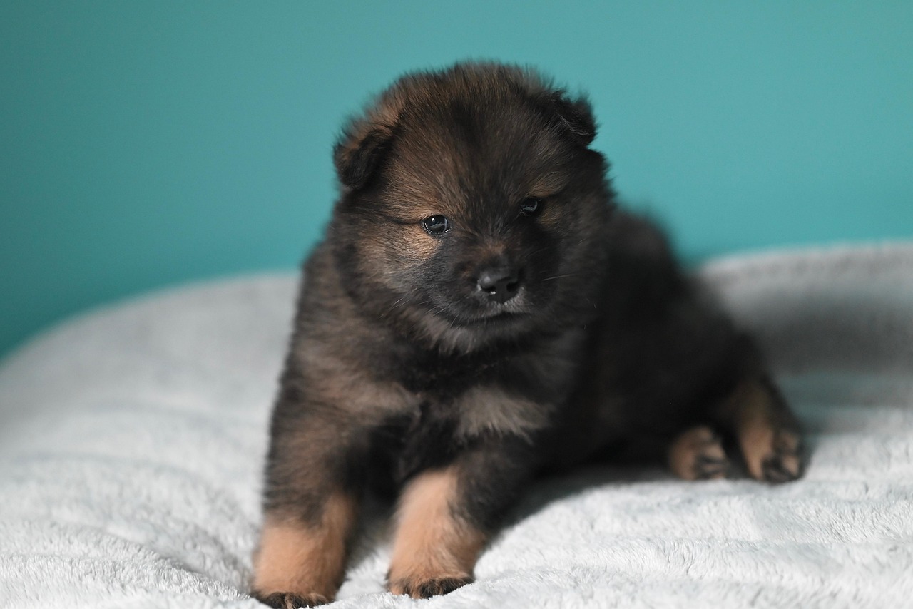 ユーブライドの口コミと評判は実際どうなのか？