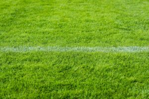 婚活でLINEが続かない30代男性のための解決策は？