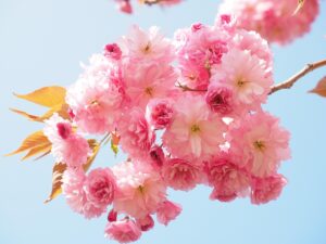 30代男性が婚活サイトでサクラに騙されないための見分け方は？